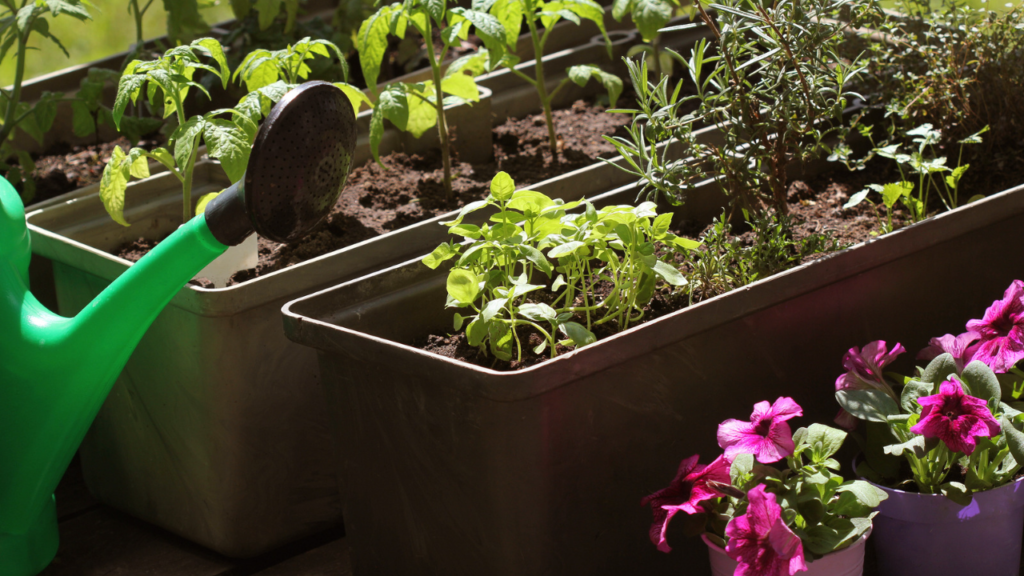 Transform Your Garden: Promote Plant Growth with Terreau Substrat Potting Soil